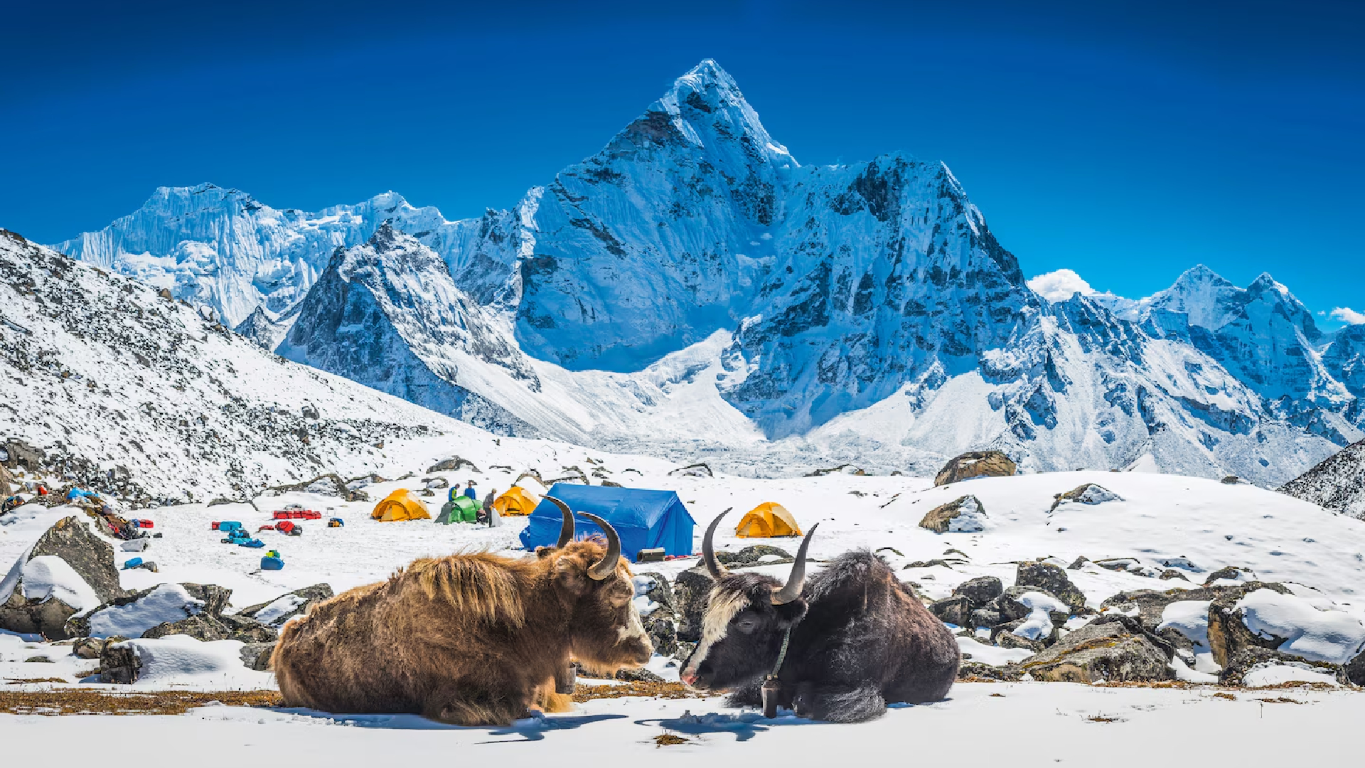 Trekking in Himalayas